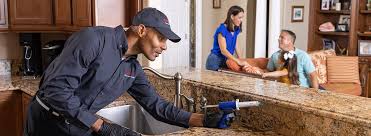 Best Real Estate Pest Inspections  in Mabscott, WV